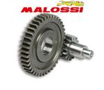 RAPP.ALLUNGATI SEC.APRILIA-MAL-YAMAHA 50 2T-MALOSSI-