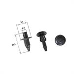 RIVETTO CARROZZERIA SUZUKI r.o.0909063145PK