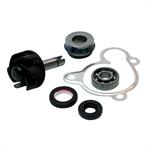 KIT POMPA ACQUA YAMAHA 250/300