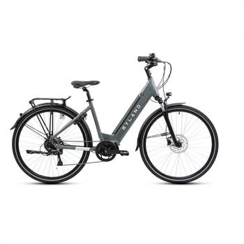 E-BIKE 28 BIG HANDY 8V 36V 14,5Ah 522Wh TG.53-L