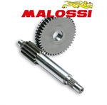 RAPP.ALLUNGATI PRIM. SCARA-F12-NITRO 13/44 -MALOSSI-