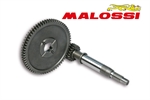 RAPP.ALLUNGATI PRIM. KYMCO AGILITY 50 R16 Z16/57 -MALOSSI