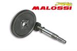 RAPP.ALLUNGATI PRIM. KYMCO AGILITY 50 R16 Z16/57 -MALOSSI