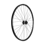 RUOTA ANTERIORE 29 W-XC I25 TLR 15X100MM DISCO 6 FORI
