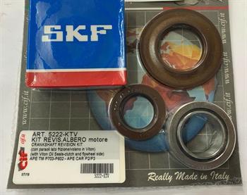 KIT REVISIONE ALBERO MOTORE APE TM 703-602-CAR P2/P3 BENZINA