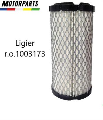 FILTRO ARIA MICROCAR LIGIER XTOO r.o.1003173-21751660s