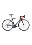 CICLO CORSA CARBON 8AVIO EVO CAMPAGNOLO ATHENA 22V MIS.50