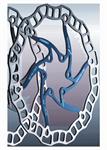 DISCO ASHIMA ACCIAIO INOX 160mm 85gr BLU