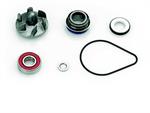 KIT POMPA ACQUA HONDA PANTHEON 2T 125/150