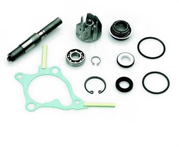 KIT POMPA ACQUA HONDA FORESIGHT 250 4T-PIAGGIO X9 250