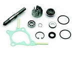KIT POMPA ACQUA HONDA FORESIGHT 250 4T-PIAGGIO X9 250
