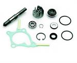 KIT POMPA ACQUA HONDA FORESIGHT 250 4T-PIAGGIO X9 250