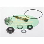 KIT POMPA ACQUA HONDA SH 300 IE