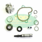 KIT POMPA ACQUA KYMCO DOWNTOWN 300