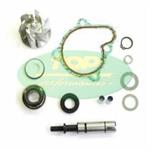 KIT POMPA ACQUA KYMCO DOWNTOWN 300