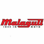 ALBERO MOTORE MALAGUTI F10-F12-YESTAERDAY-CENTRO-F15 **ricam