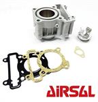 CILINDRO S/TESTA D.52 AIRSAL YAMAHA XMAX 125-XCITY 125 08>0
