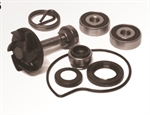 KIT POMPA ACQUA PIAGGIO 250 04/05 4T