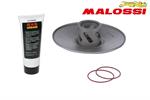 CORR.COPPIA PIAGGIO 50 2T ZIP-FREE-TYPHOON-SFERA MALOSSI