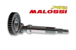 RAPP.ALLUNGATI PRIM. DERBI Z15/43 -MALOSSI