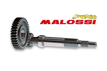 RAPP.ALLUNGATI PRIM. LEONARDO 4T 125-150 -MALOSSI-