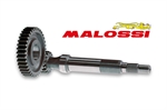 RAPP.ALLUNGATI PRIM. LEONARDO 4T 125-150 -MALOSSI-