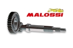 RAPP.ALLUNGATI PRIM. F12 DIGIT KAT H2O -MALOSSI-
