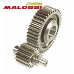 RAPP.ALLUNGATI SEC. HONDA 125/150 4T -MALOSSI-