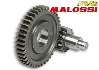 RAPP.ALLUNGATI SEC. HONDA 150 4T -MALOSSI-