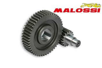 RAPP.ALLUNGATI SEC. PIAGGIO BEVERLY 125-200 -MALOSSI-