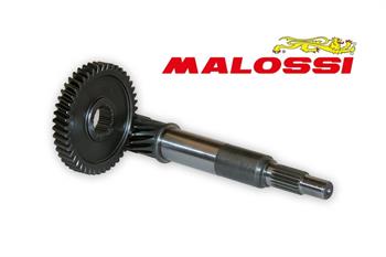 RAPP.ALLUNGATI PRIM. HONDA PANTHEON 150 4T -MALOSSI-