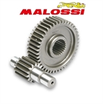 RAPP.ALLUNGATI SEC. YAMAHA X CITY-X MAX 125 IE -MALOSSI-