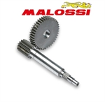 RAPP.ALLUNGATI PRIM. MALAGUTI F12 -MALOSSI-