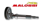 RAPP.ALLUNGATI PRIM. F10-SONIC-EVOLIS Z15/41 -MALOSSI
