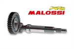 RAPP.ALLUNGATI PRIM. BALI -MALOSSI-