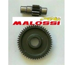RAPP.ALLUNGATI SEC.PIAGGIO-GILERA -MALOSSI-