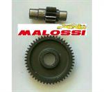RAPP.ALLUNGATI SEC.PIAGGIO-GILERA -MALOSSI-