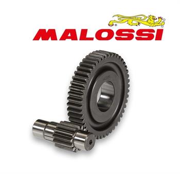 RAPP.ALLUNGATI SEC.RUN-STAL-MC2 MHR -MALOSSI-