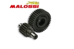 RAPP.ALLUNGATI PRIM. YAMAHA 250 -MALOSSI-