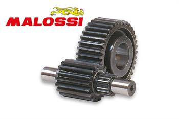 RAPP.ALLUNGATI PRIM. HONDA 250 -MALOSSI-