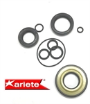 SR.PARAOLI MOTORE VESPA 50 PK-HP-A50 TM/MIX r.o.154819