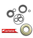 SR.PARAOLI MOTORE VESPA 50 PK-HP-A50 TM/MIX r.o.154819