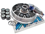 VARIATORE HONDA SFX-SH '96-SKY -POLINI **fine serie