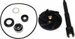 KIT POMPA ACQUA PIAGGIO 500 FINO AL '04